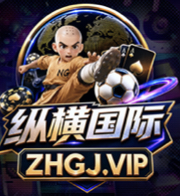 纵横国际