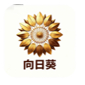 向日葵🌻兼职